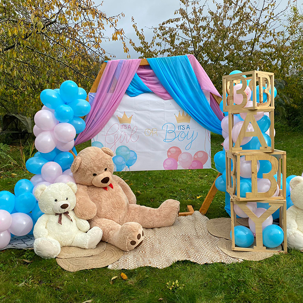 Gender reveal
